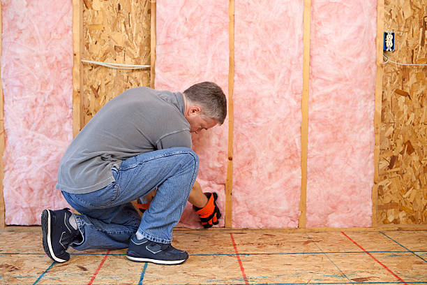Best Insulation Maintenance and Repair in Montezuma, IA