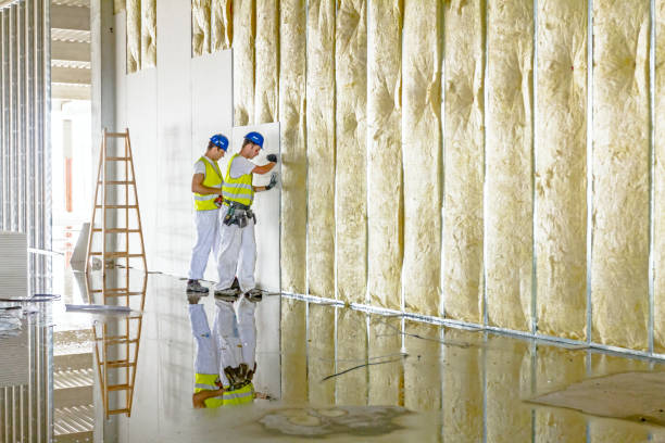 Best Commercial Insulation in Montezuma, IA